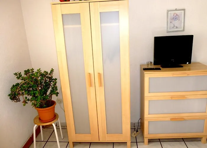 布雷赫豪斯旅馆 *